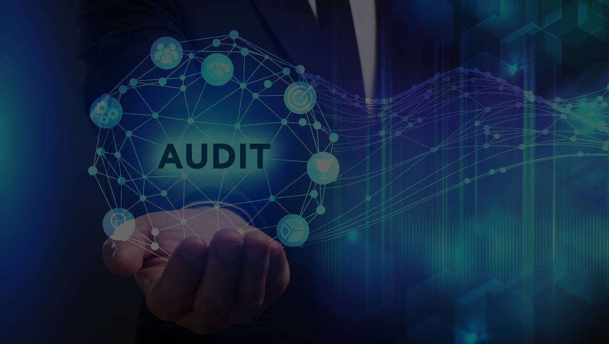 IT System Audits